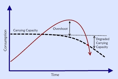 http://www.paulchefurka.ca/Overshoot_2.jpg