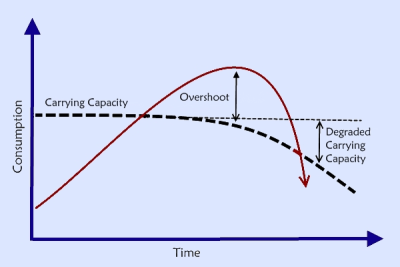 Carrying Capacity Chart