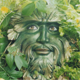 http://www.paulchefurka.ca/greenman.jpg